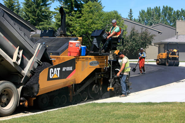 Best Local Driveway Pavers  in Walls, MS